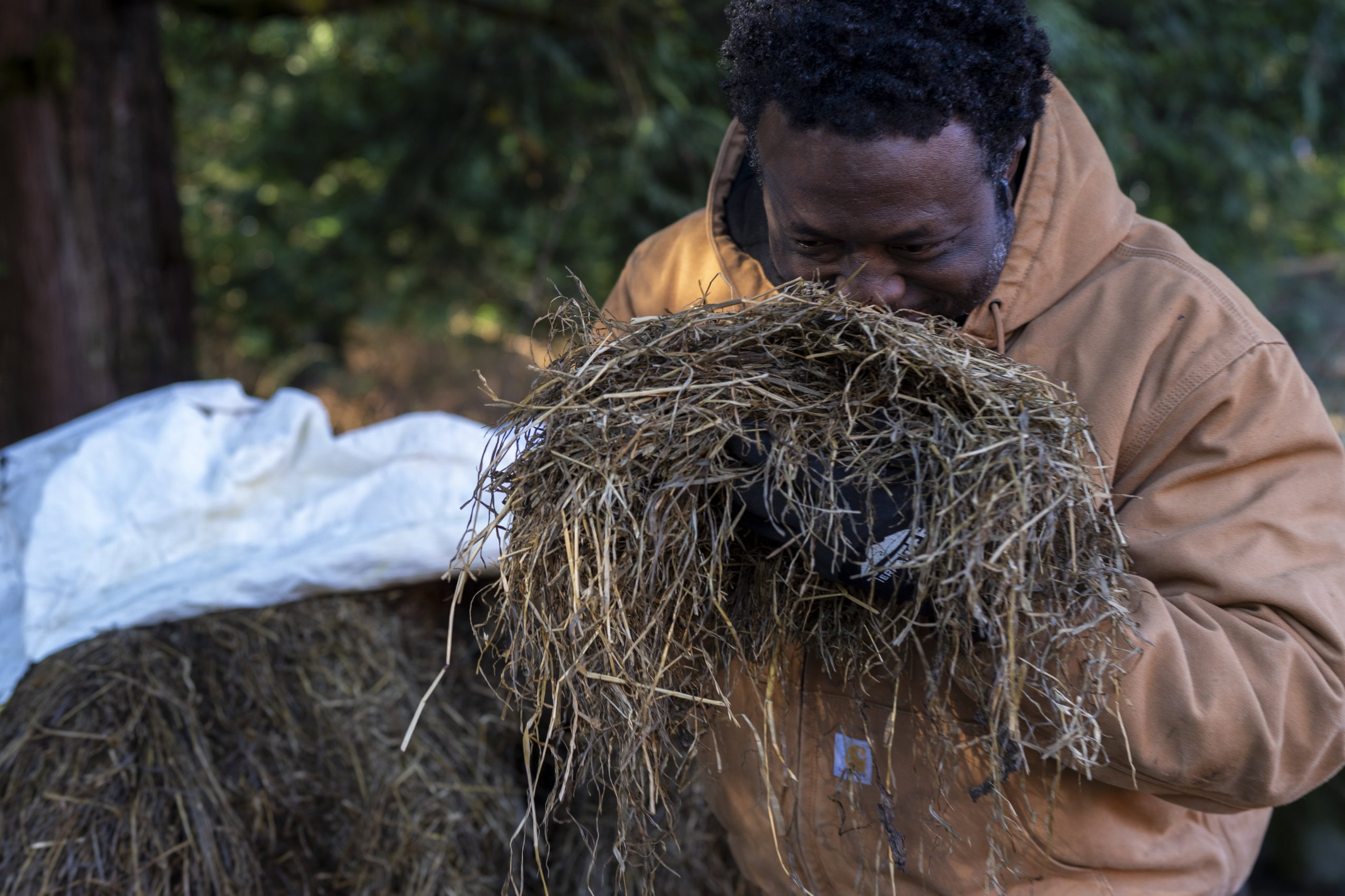 Toyin Kayo-Ajayi smells a large clump of soil in his hands, standing outside at his farm in shade dappled with a bit of sun.