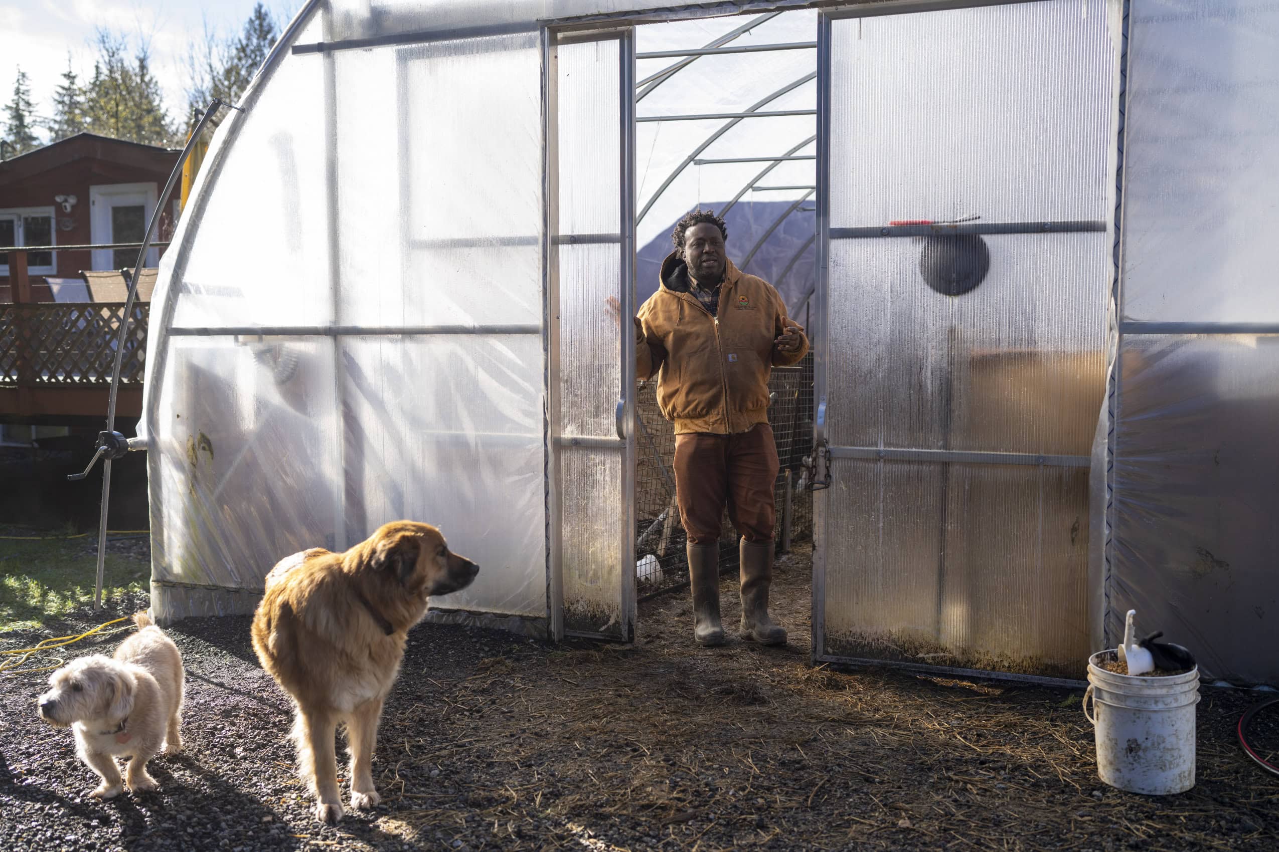 Toyin Kayo-Ajayi stands in the door in one of his greenhouses, looking at the camera. A small white dog and large blonde dog stand outside the greenhouse, with sun coming in from the left.