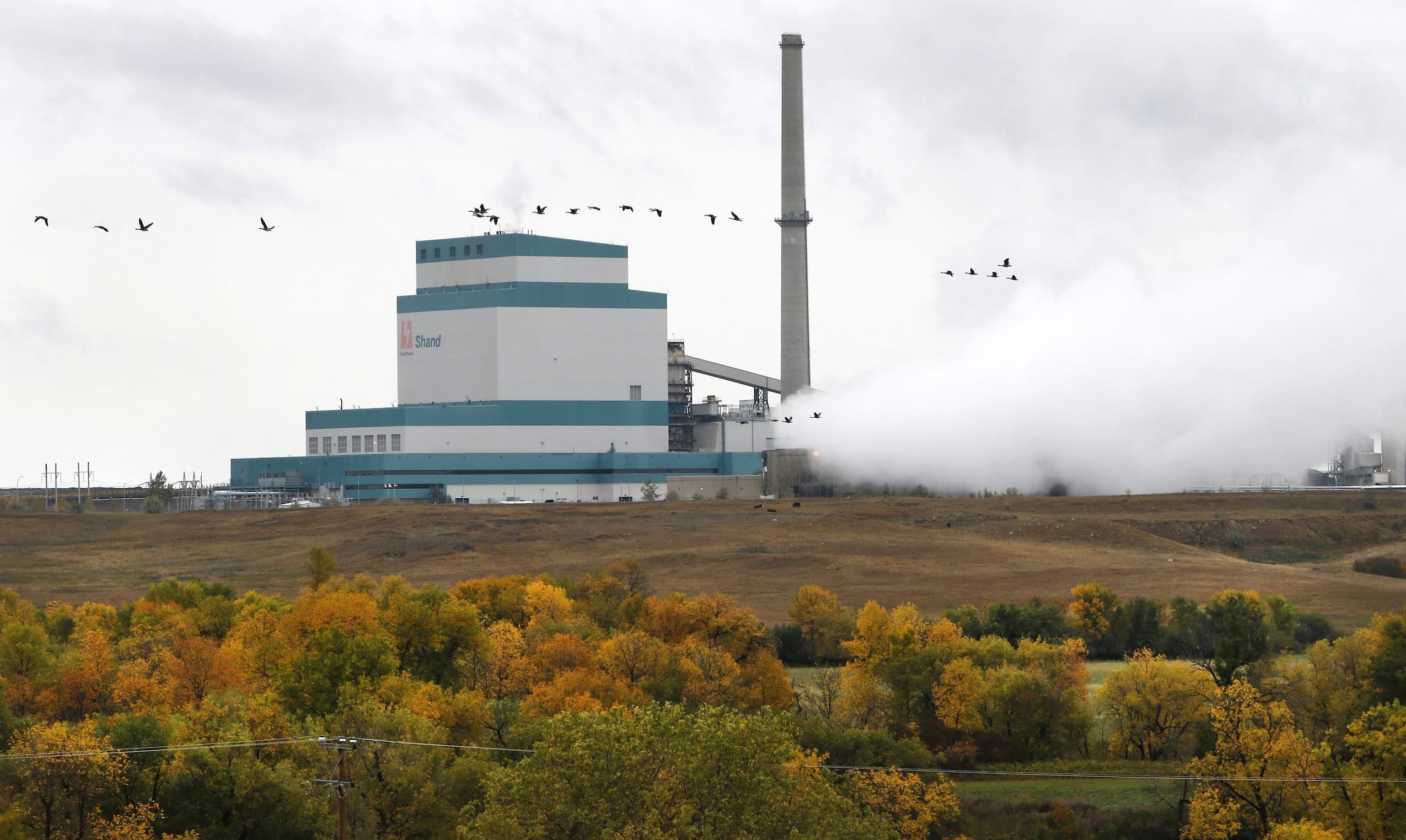 Canada geese fly overhead a coal-powered dam in the distance, with forested countryside in the foreground.