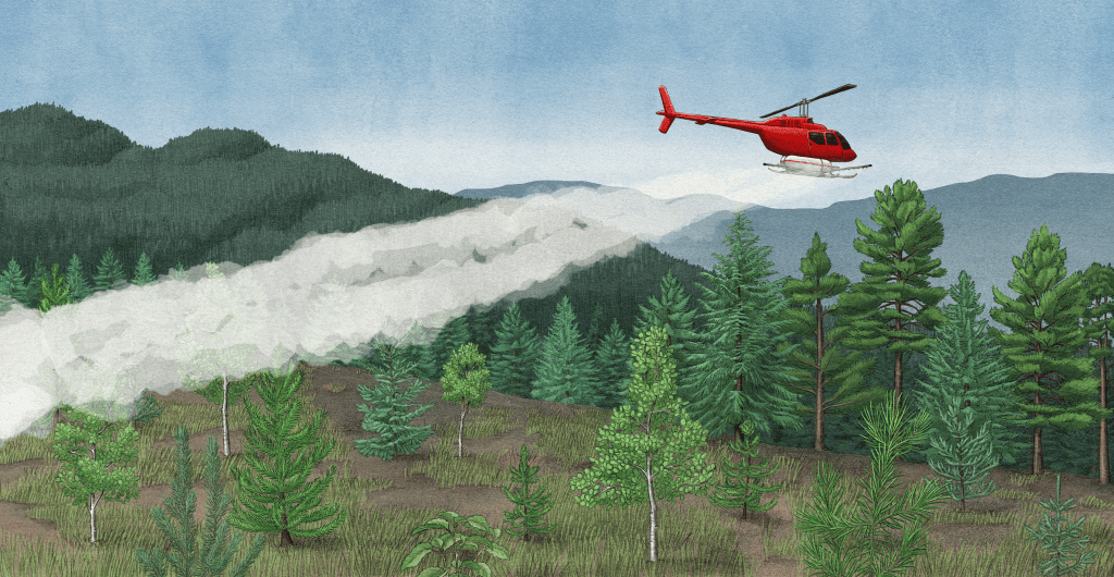 The BC NDP promised to phase out glyphosate. Forestry companies are still spraying