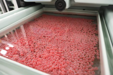 Hundreds of bright pink salmon eggs float in a hatchery tub.