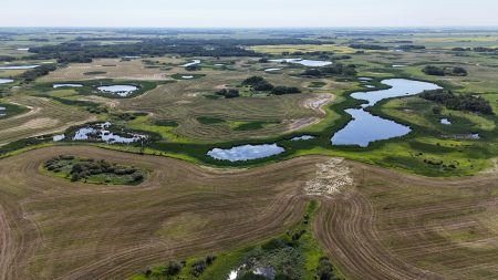 an aerial view of farmland dotted with wetlands