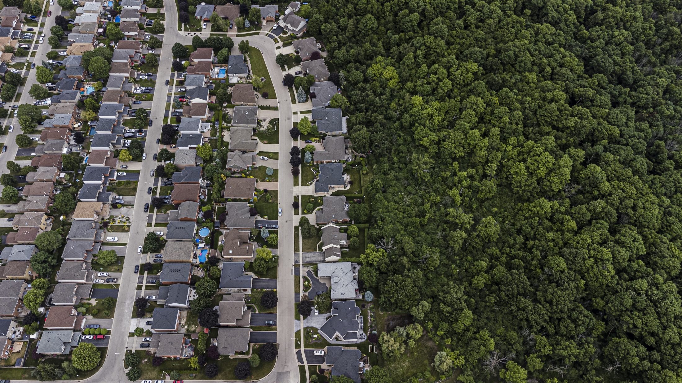 Seen from above, a housing subdivision buts up against a verdant green forest.