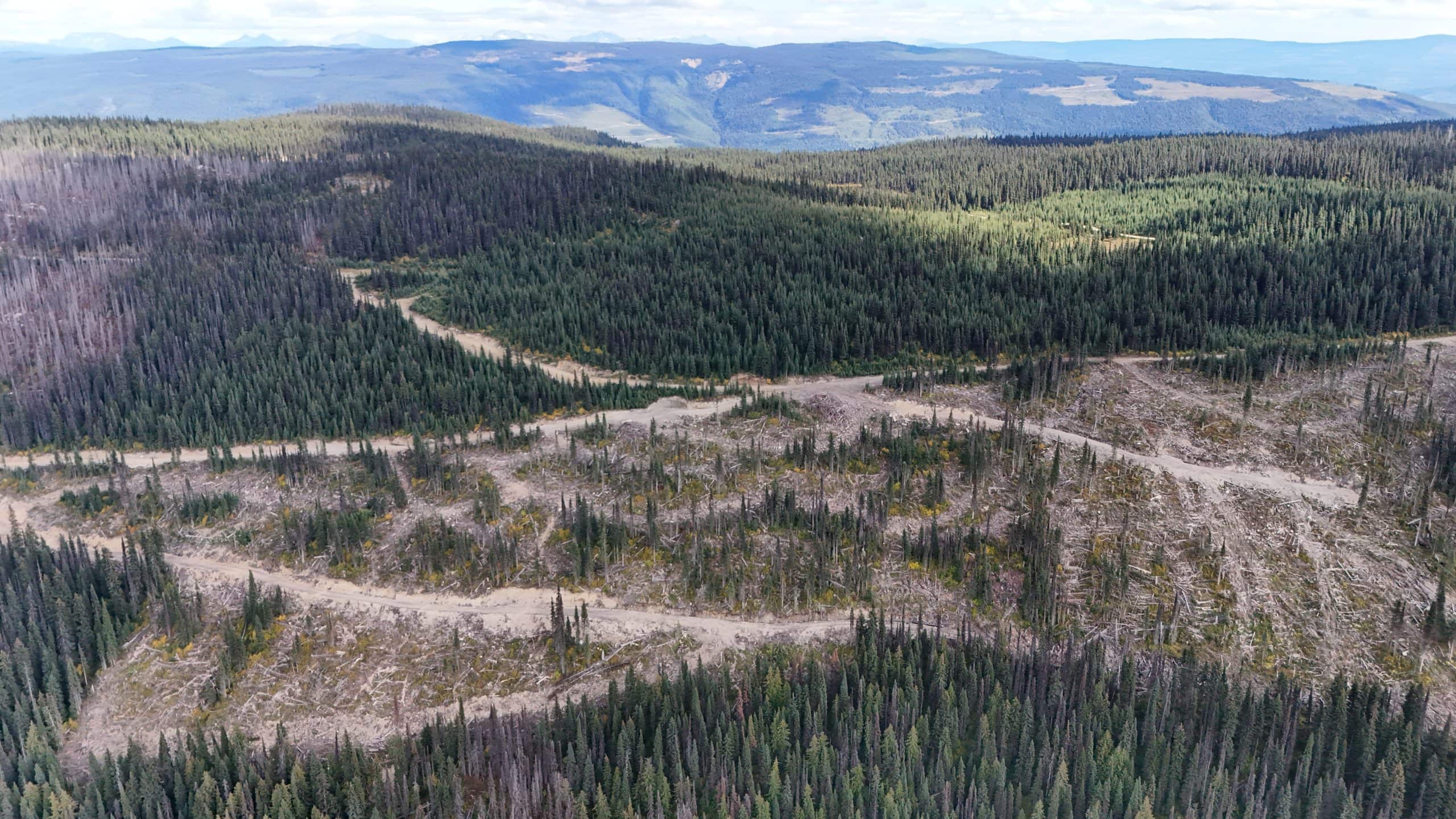 Mountains with lots of trees on them and a bunch cut down in the middle