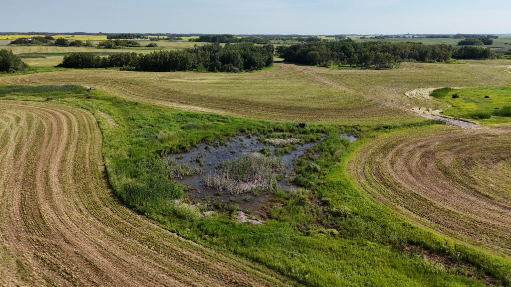 An aerial view of a small wetland, with fields surround it.