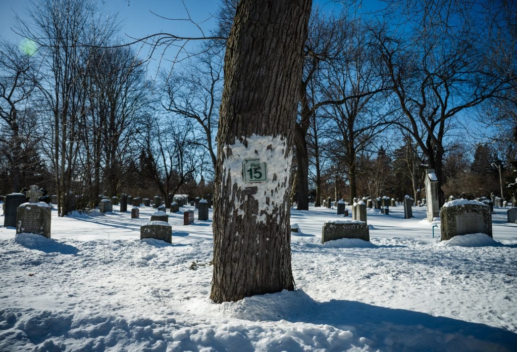 Mount Pleasant Cemetery in Toronto, Ont., is seen in the winter time.