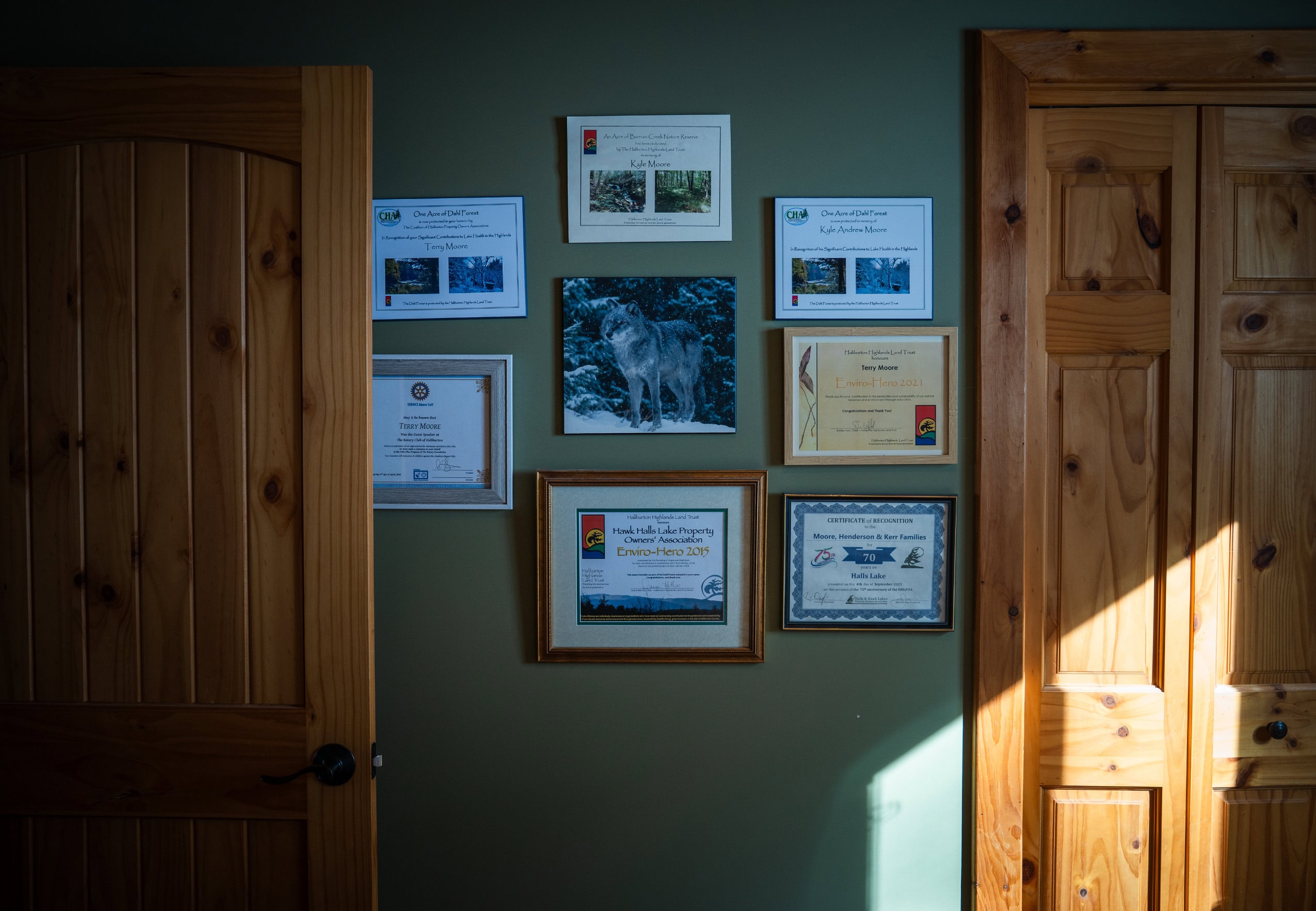 Seven certificates are hung on a wall in a home. The certificates surround a photograph of a wolf.