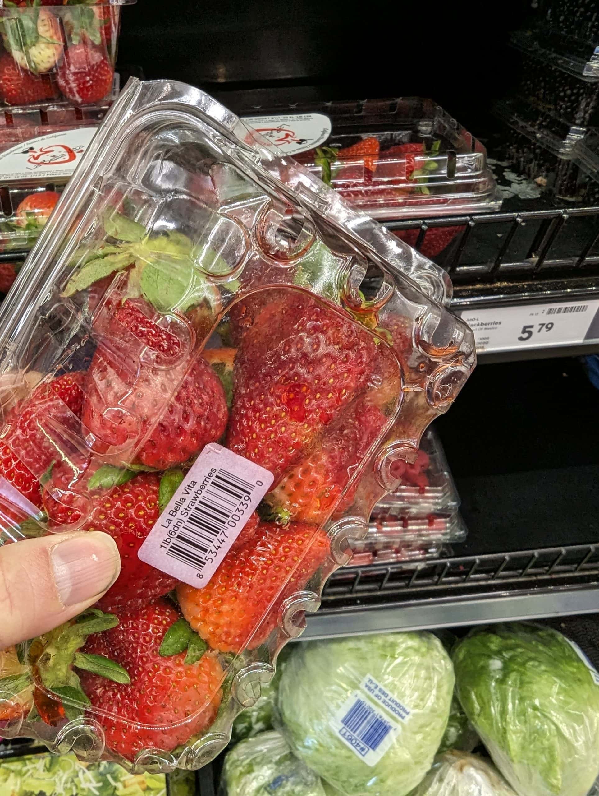 Moldy strawberries in a plastic clam container, pulled off a grocery store shelf.