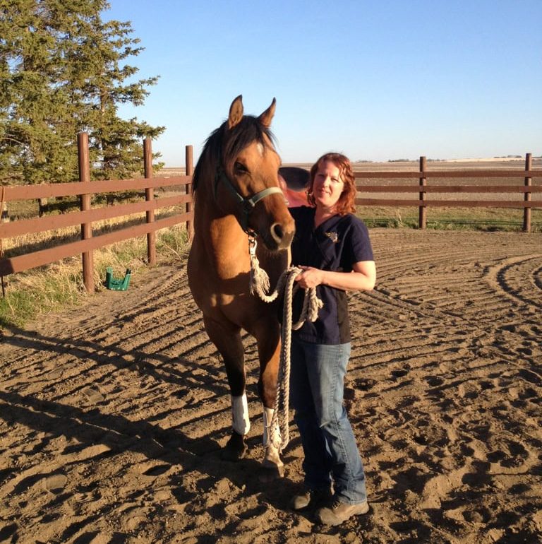 A woman stands in a dirt paddock, holding the lead rope for her bridled horse. She has shoulder length reddish hair and is wearing a dark blue and black short sleeve shirt, jeans and boots. She's standing beside the horse with one hand toward its neck. The horse is a bay with a star and two front socks. The sun is low in the sky and its shadow stretches long on the ground beside it