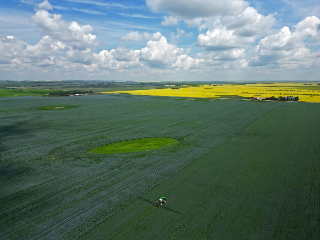 Can climate change help farmers on the Prairies?