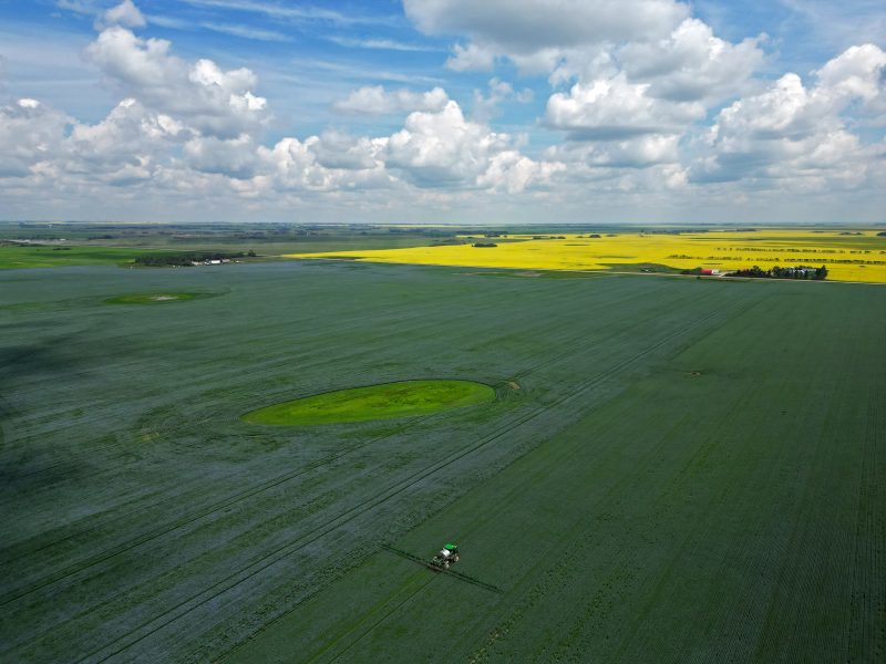 Can climate change help farmers on the Prairies?