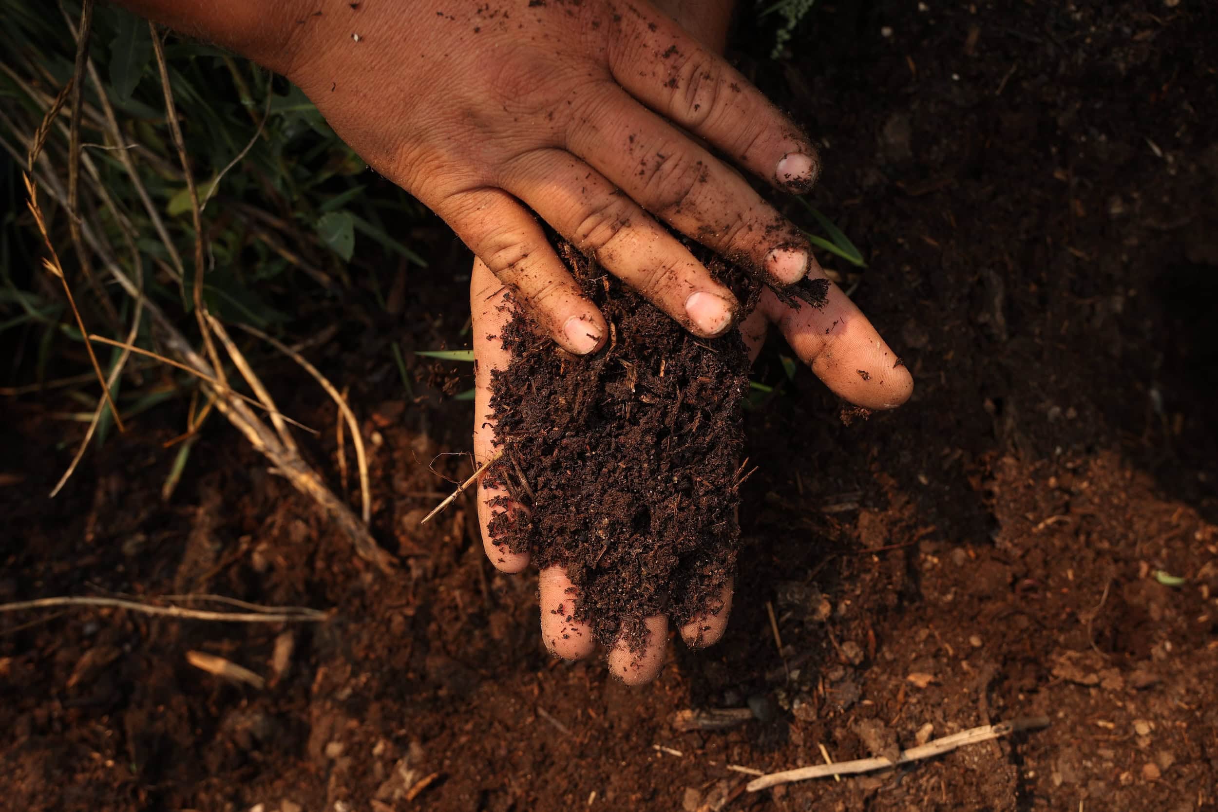 A man's hands hold deep brown soil he's picked up from the ground.