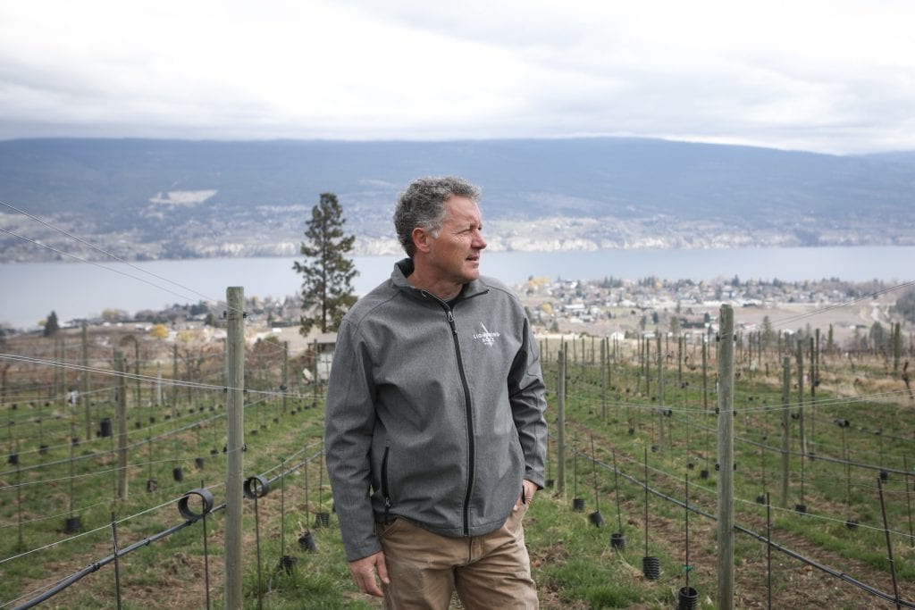 How an Okanagan deep freeze left B.C.’s independent wineries with a big tax bill