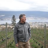 How an Okanagan deep freeze left B.C.’s independent wineries with a big tax bill