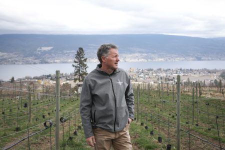 A man in a grey jacket stands among vineyards, with a town, lake and hills beyond