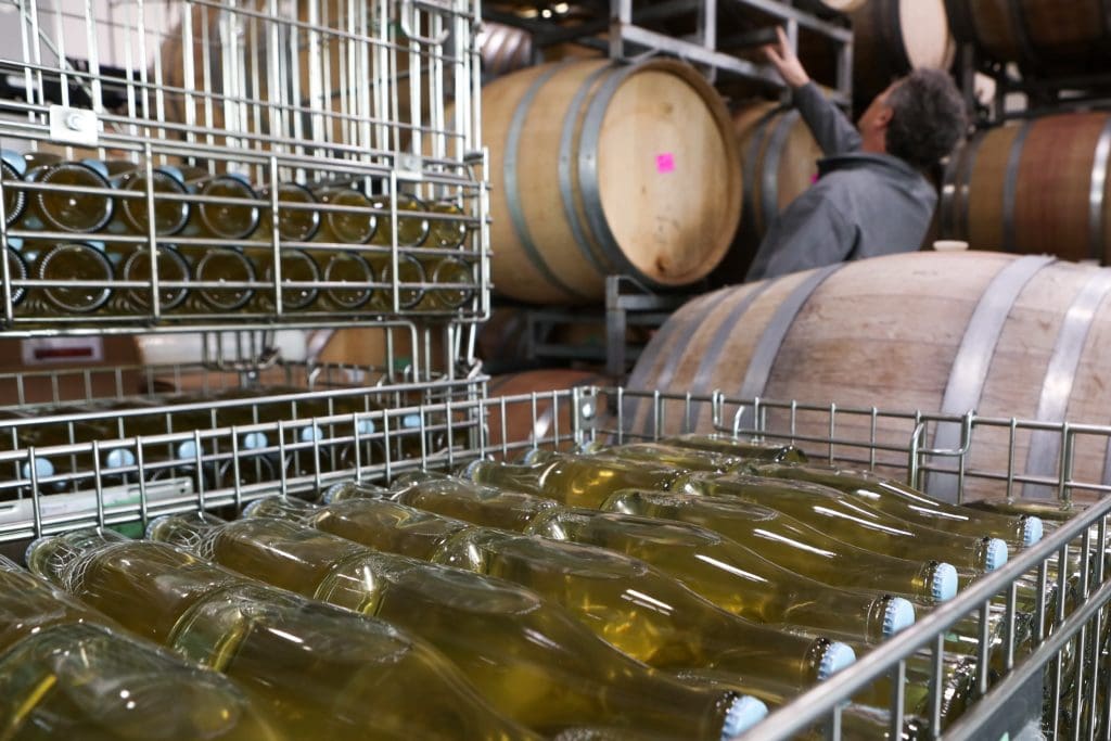 Wine bottles in a cellar, with barrels in the background behind them.