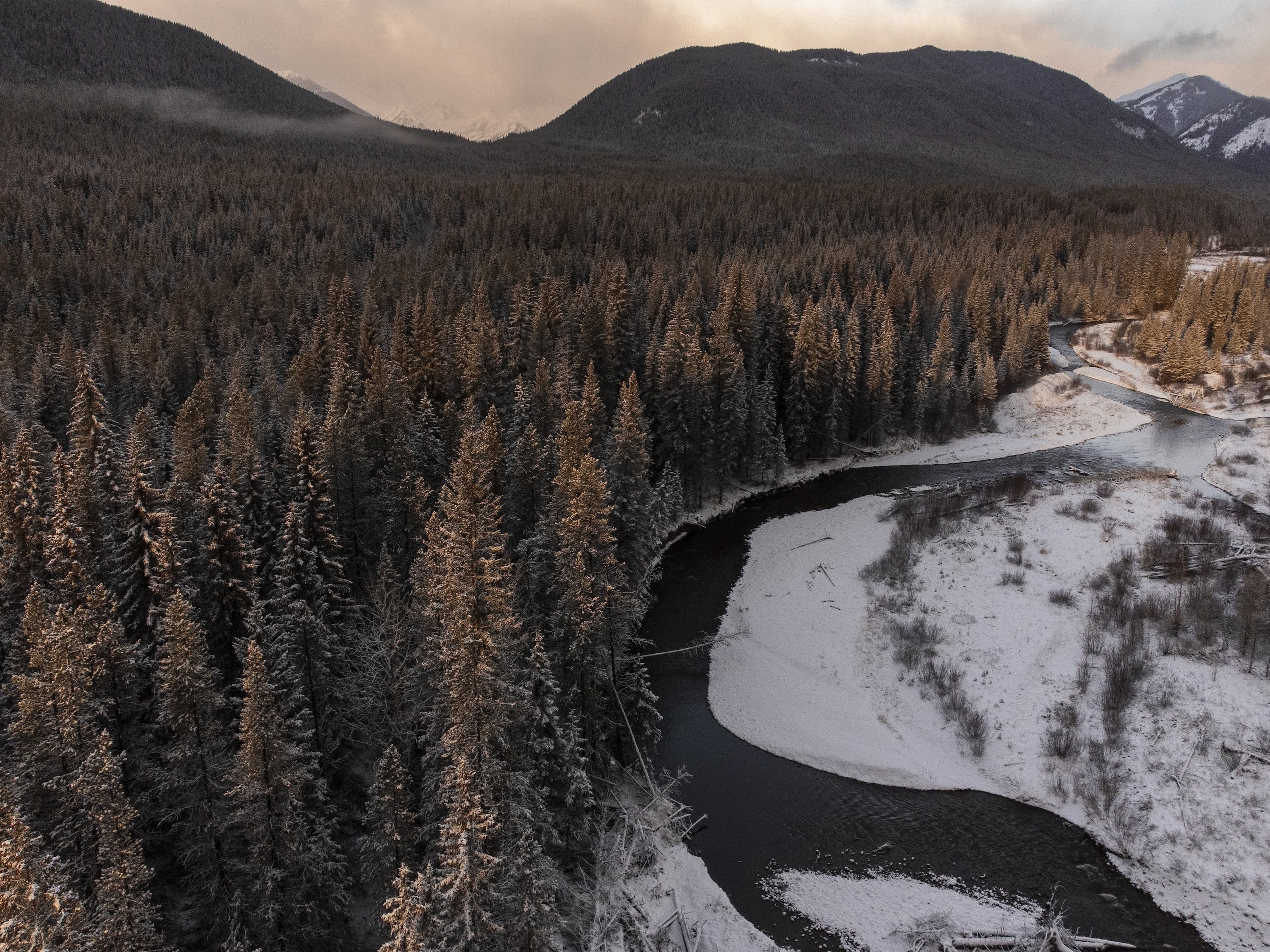 A river runs through snowbanks and a snow-dusted evergreen forest in a mountain valley.