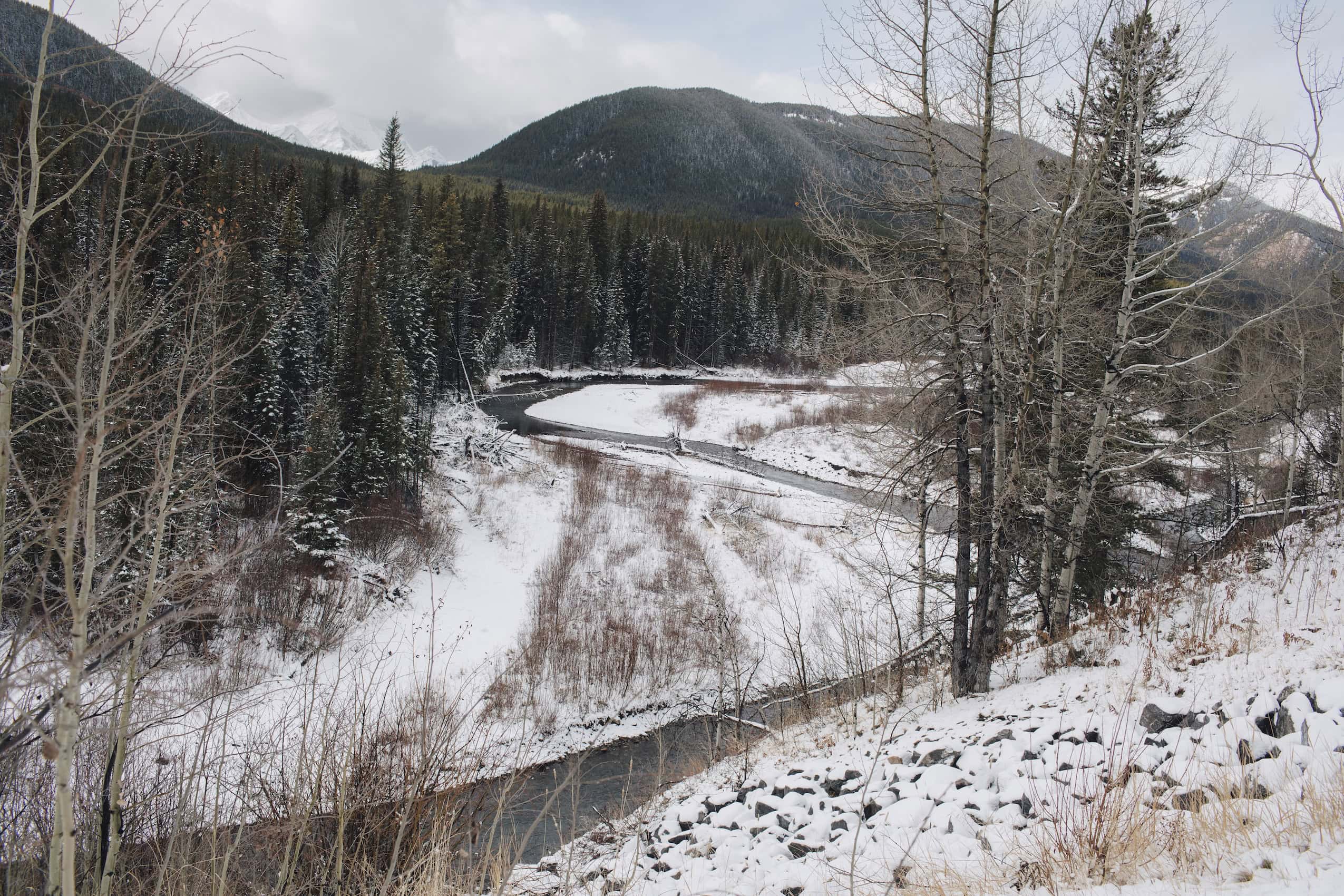 A river passes through a snowy mountain valley surrounded by evergreen forest.