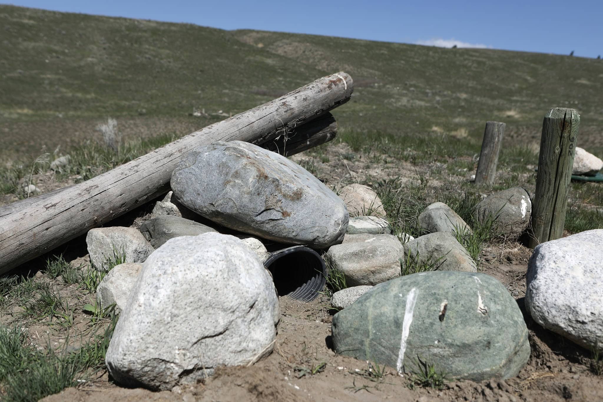 Rocks and logs cover a corrugated tube in a grassy field under a blue sky. 