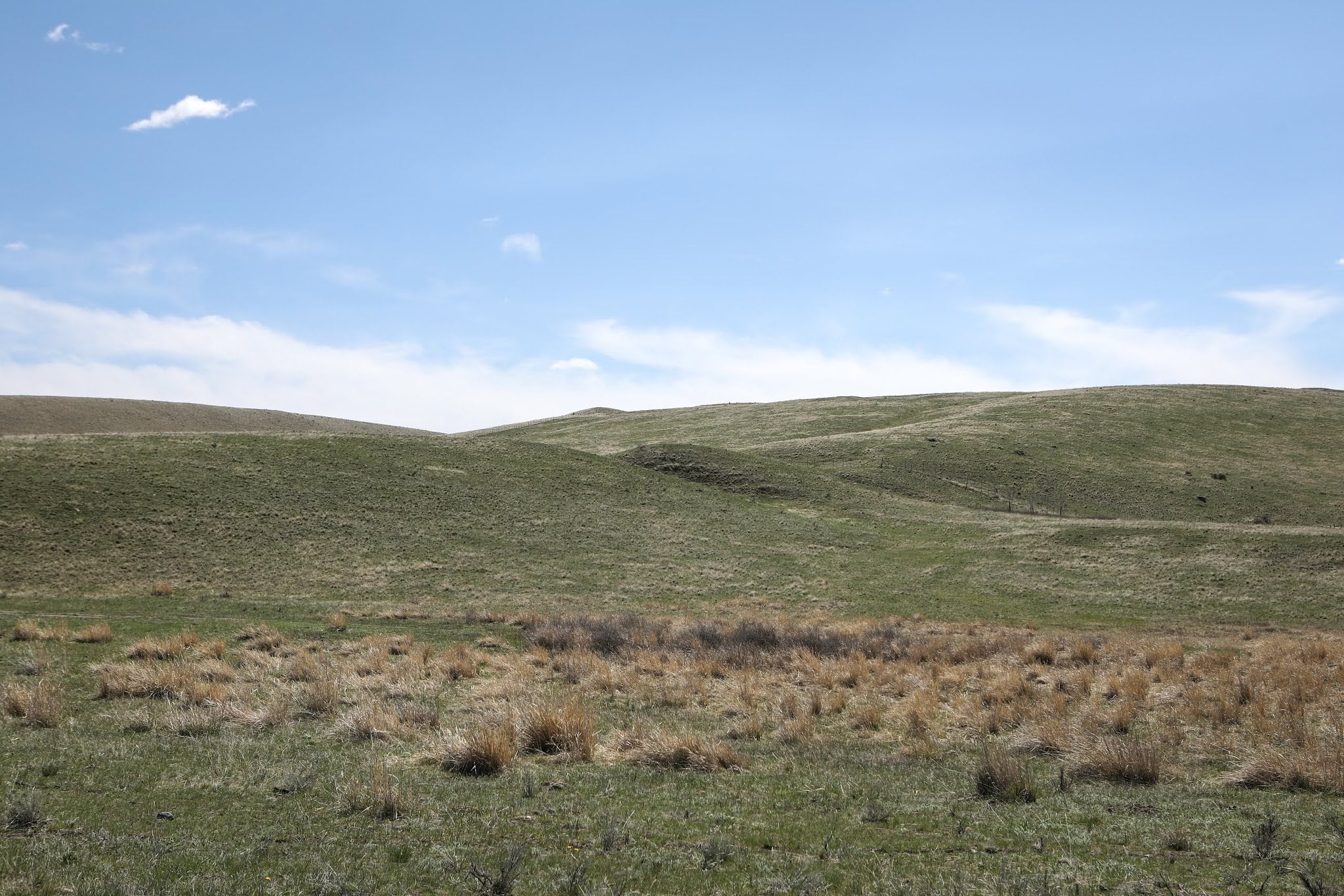A grassy field under a blue sky. 