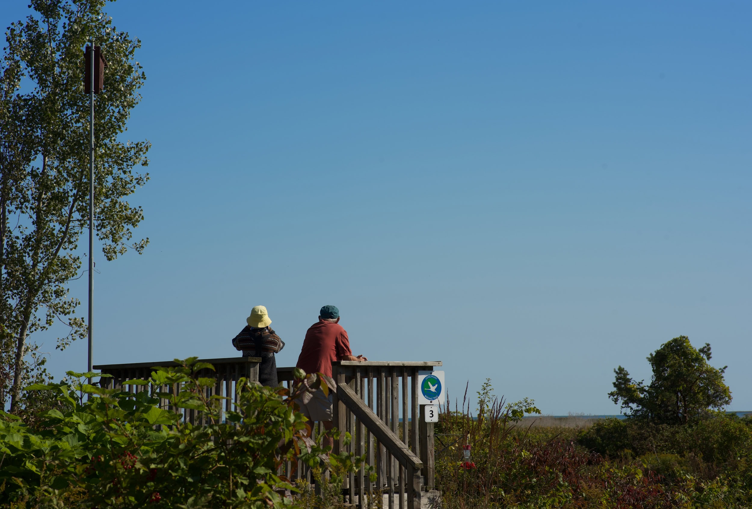 Two people look out into the distance on a wooden bridge at a bird observatory.