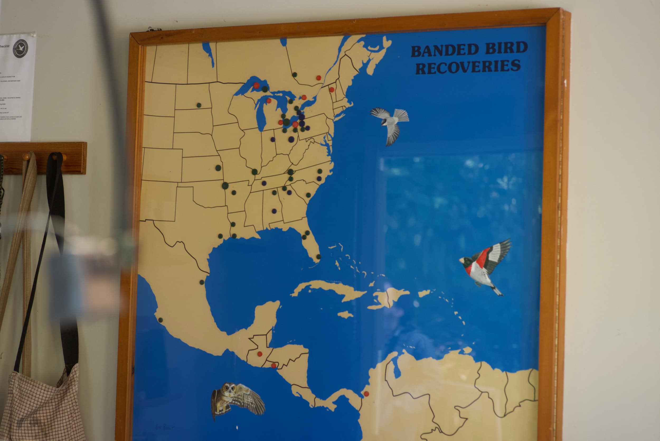 A map of bird-banding program areas across the Americas.