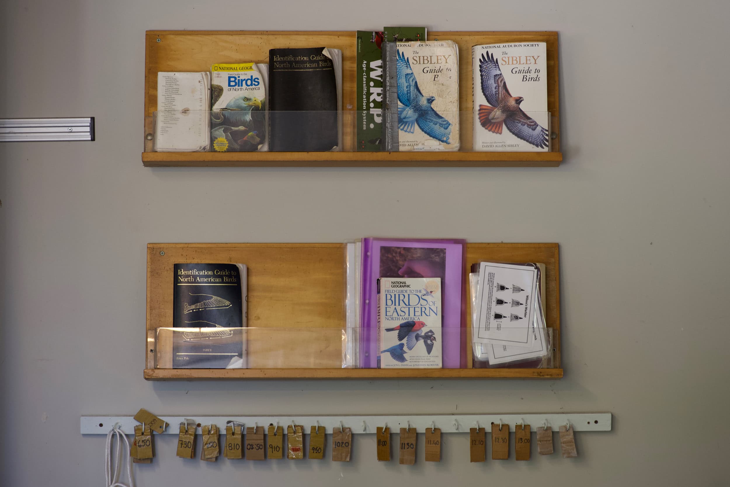 Bird books displayed along a wall shelf.