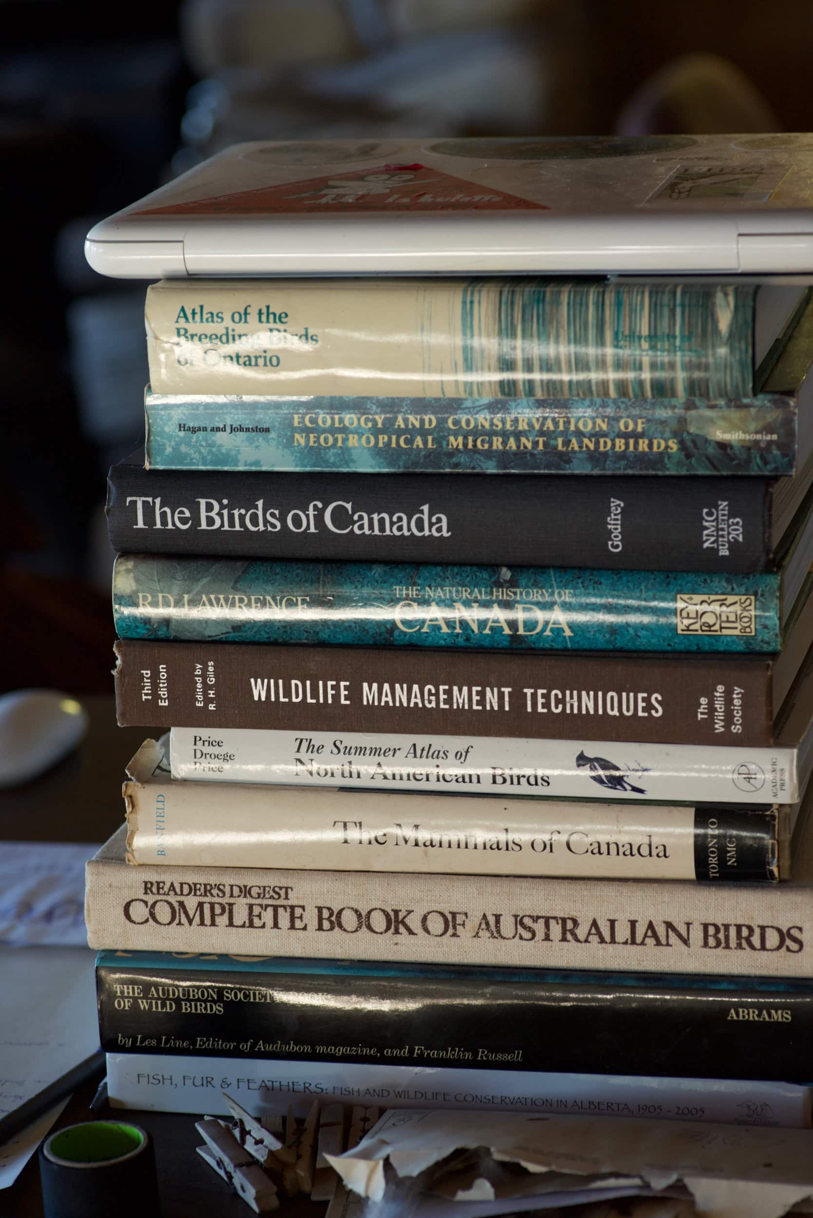 A stack of books about birds.