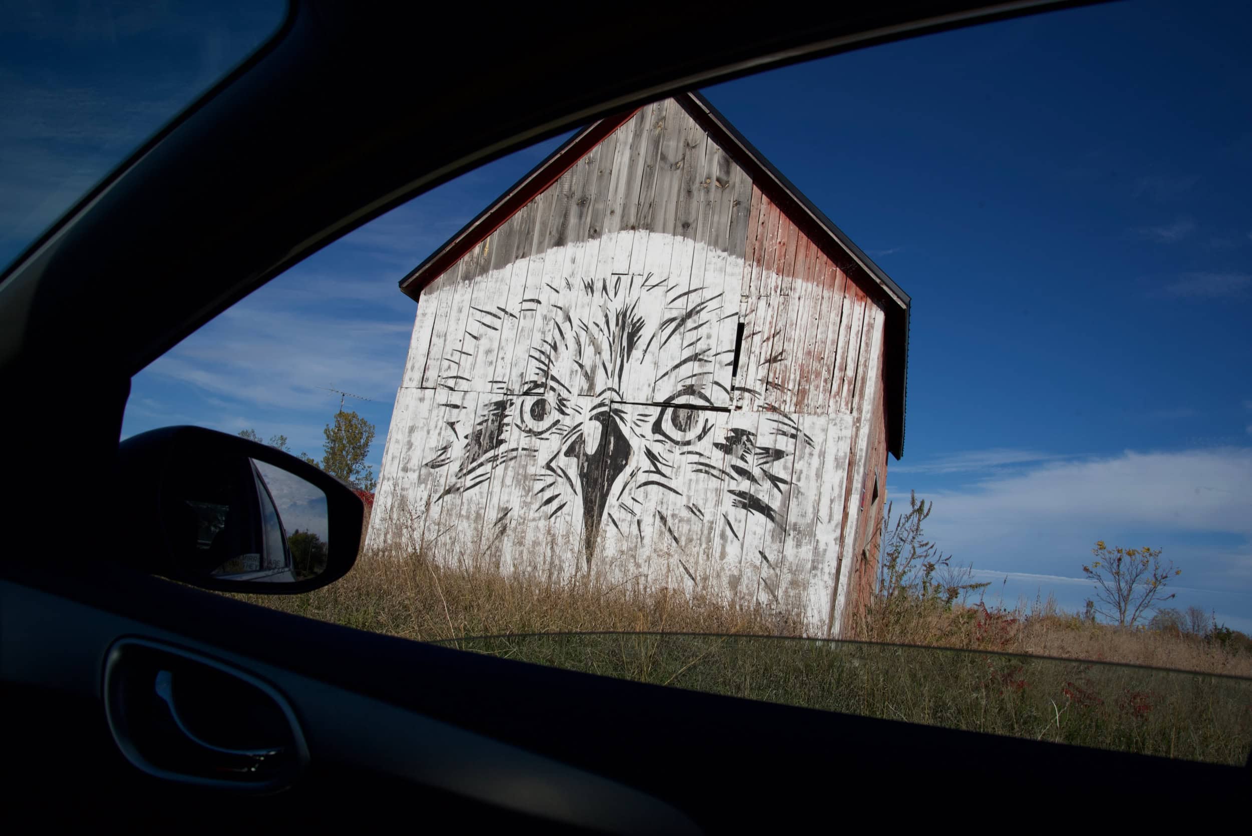 A wooden shed with an owl's face painted on it, viewed from the inside of a car.