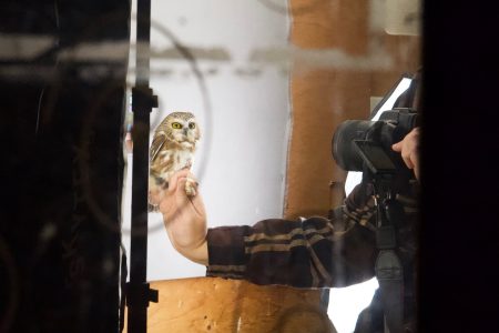 A person holds an owl on an outstretched hand, and a camera in the other