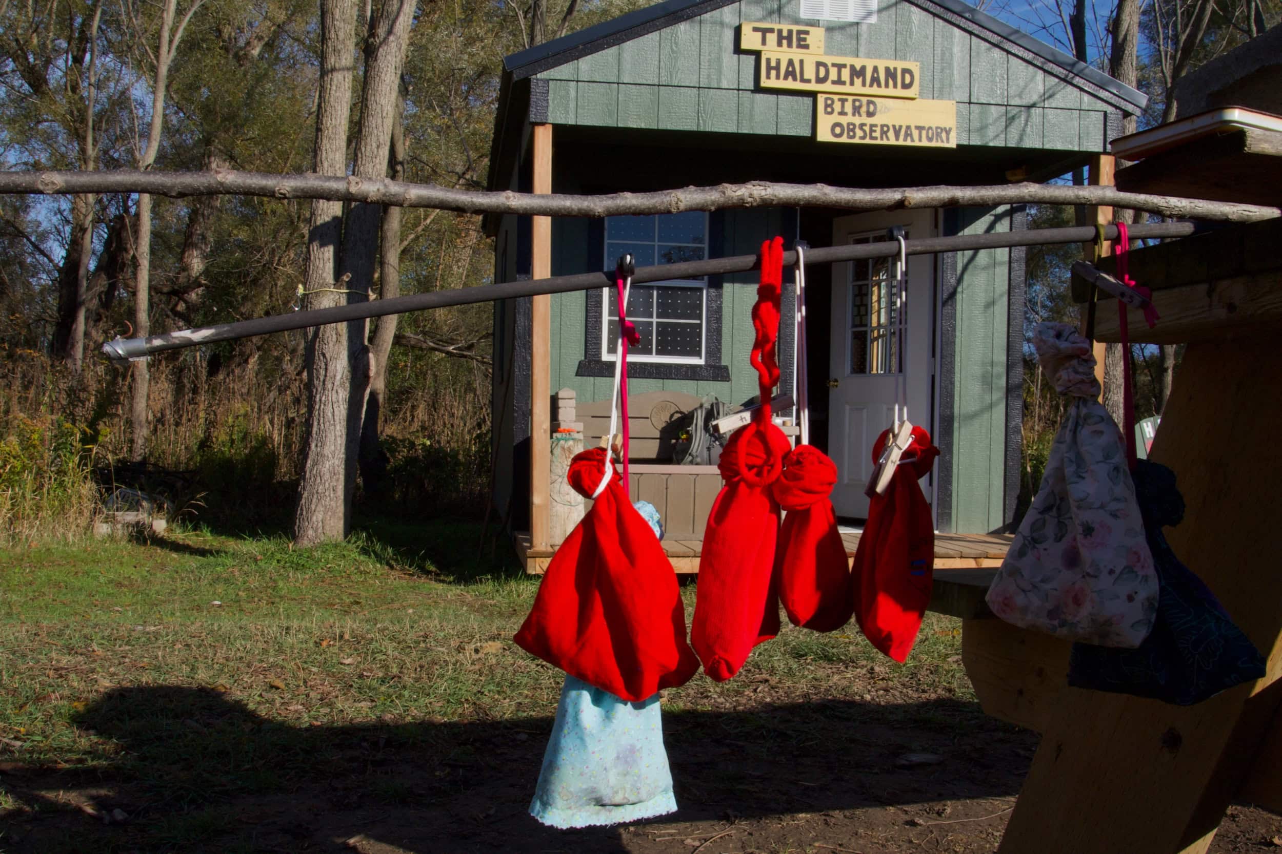 Bright red sacks holding birds hang from a line.