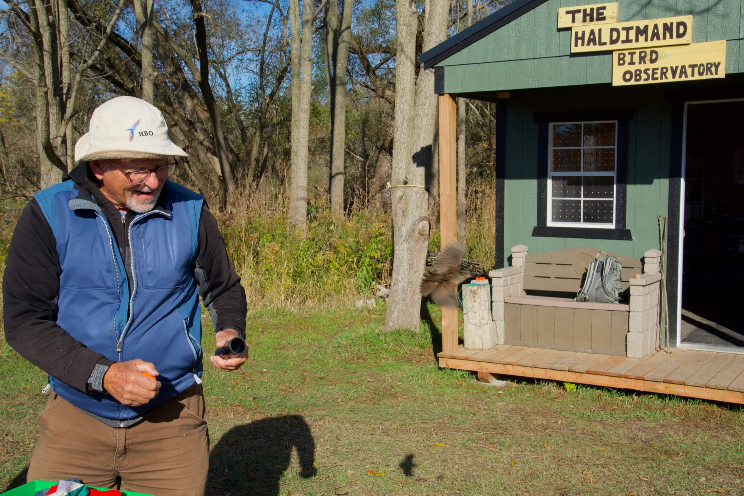 A man in a blue vest releases a bird from a tube outside the Halimand Bird Observatory shed.