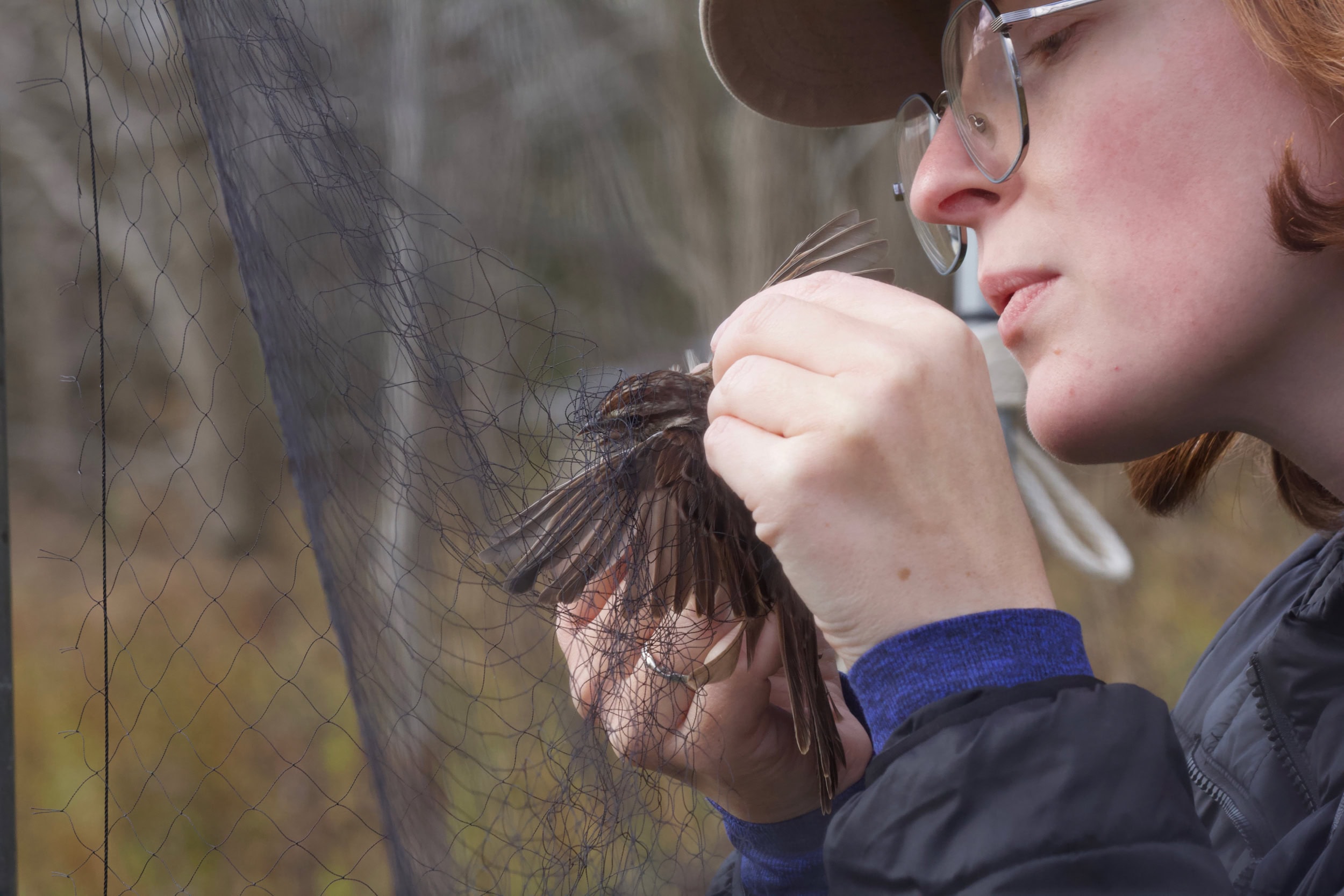 A woman blowing on a small bird in a wind net.