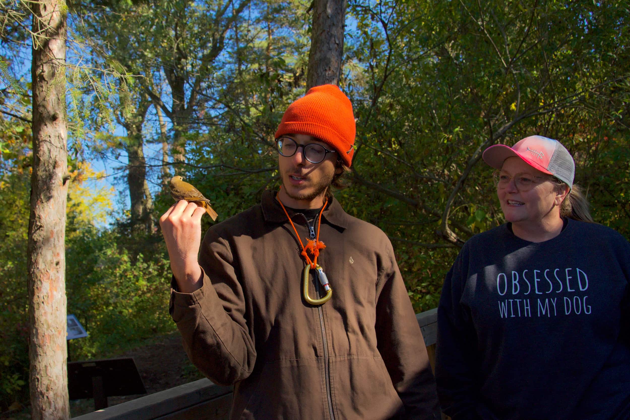 A man wearing a bright orange toque holds a small bird on his hand, a woman to his left.