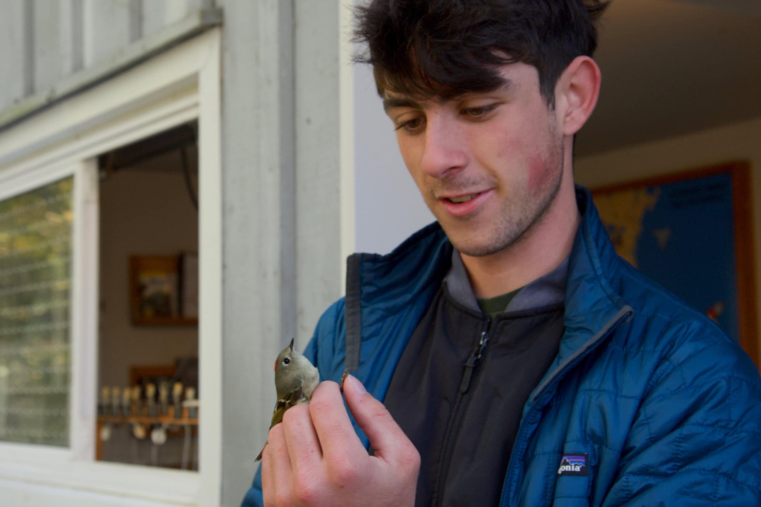 A man holds a small bird perched on his fingers.