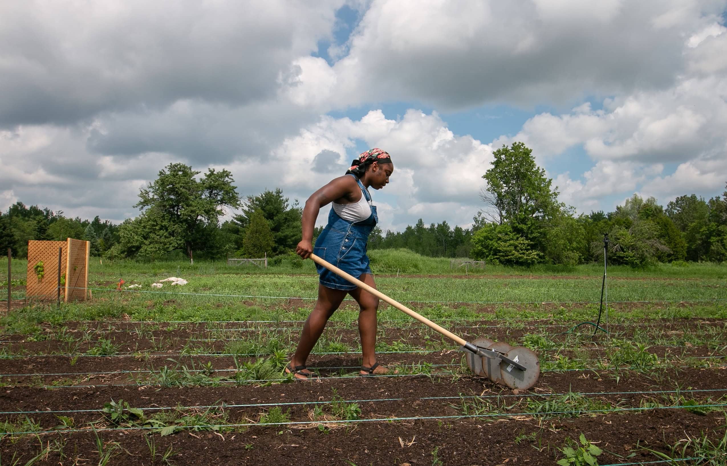 A Black woman tills a field, with greenery and forest in the background behind her.