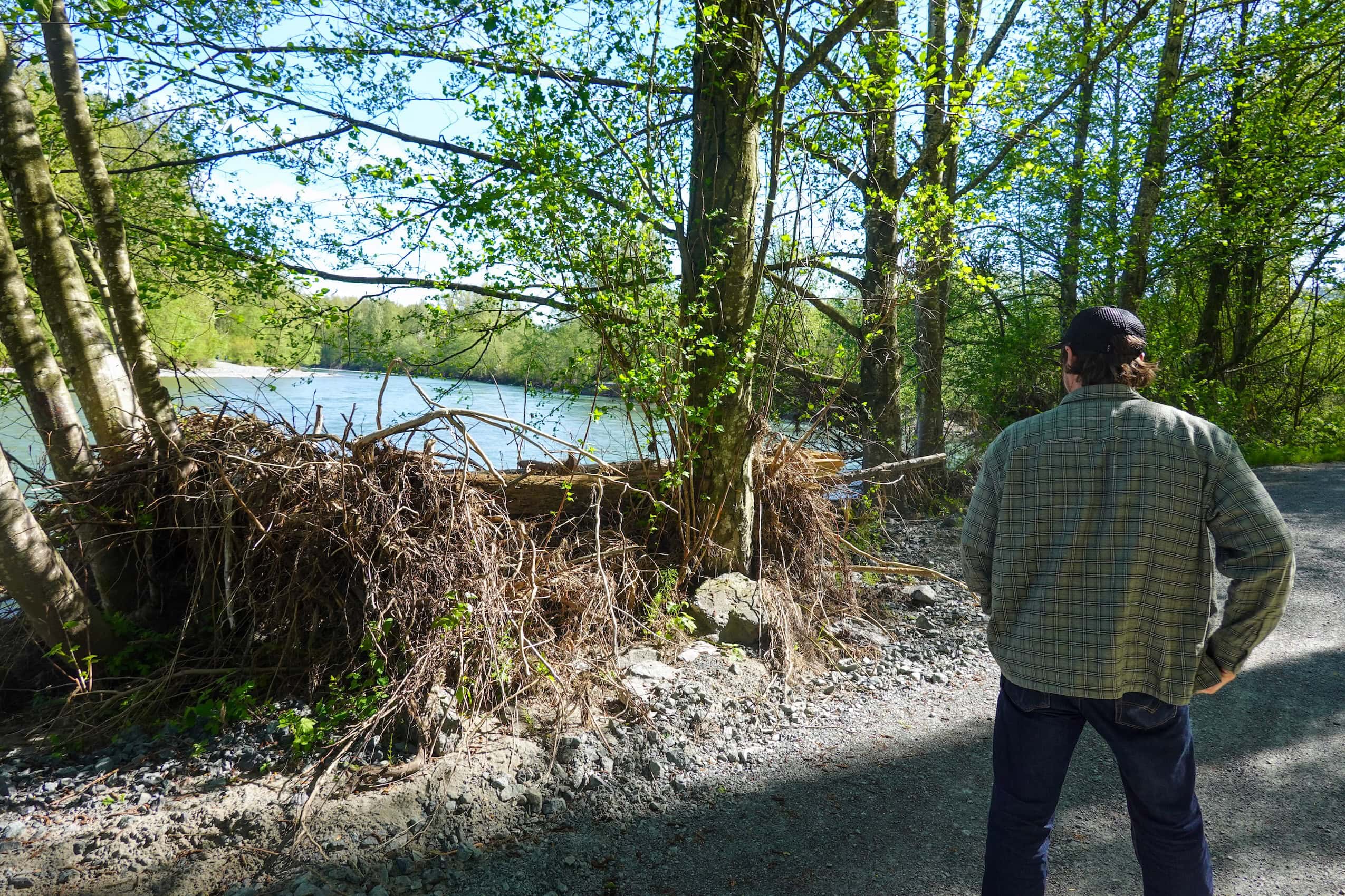 A man walking along a forested dirt road, with his back to the camera.