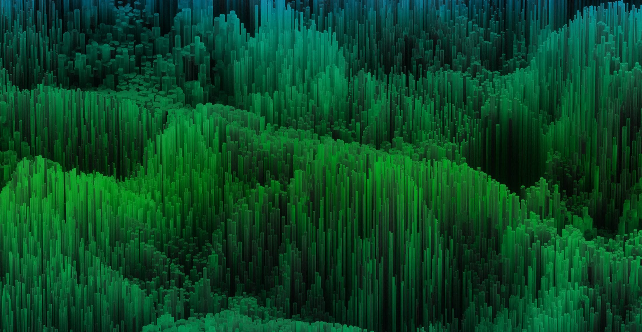 A graphic image that shows a forest-like array of bar graphs