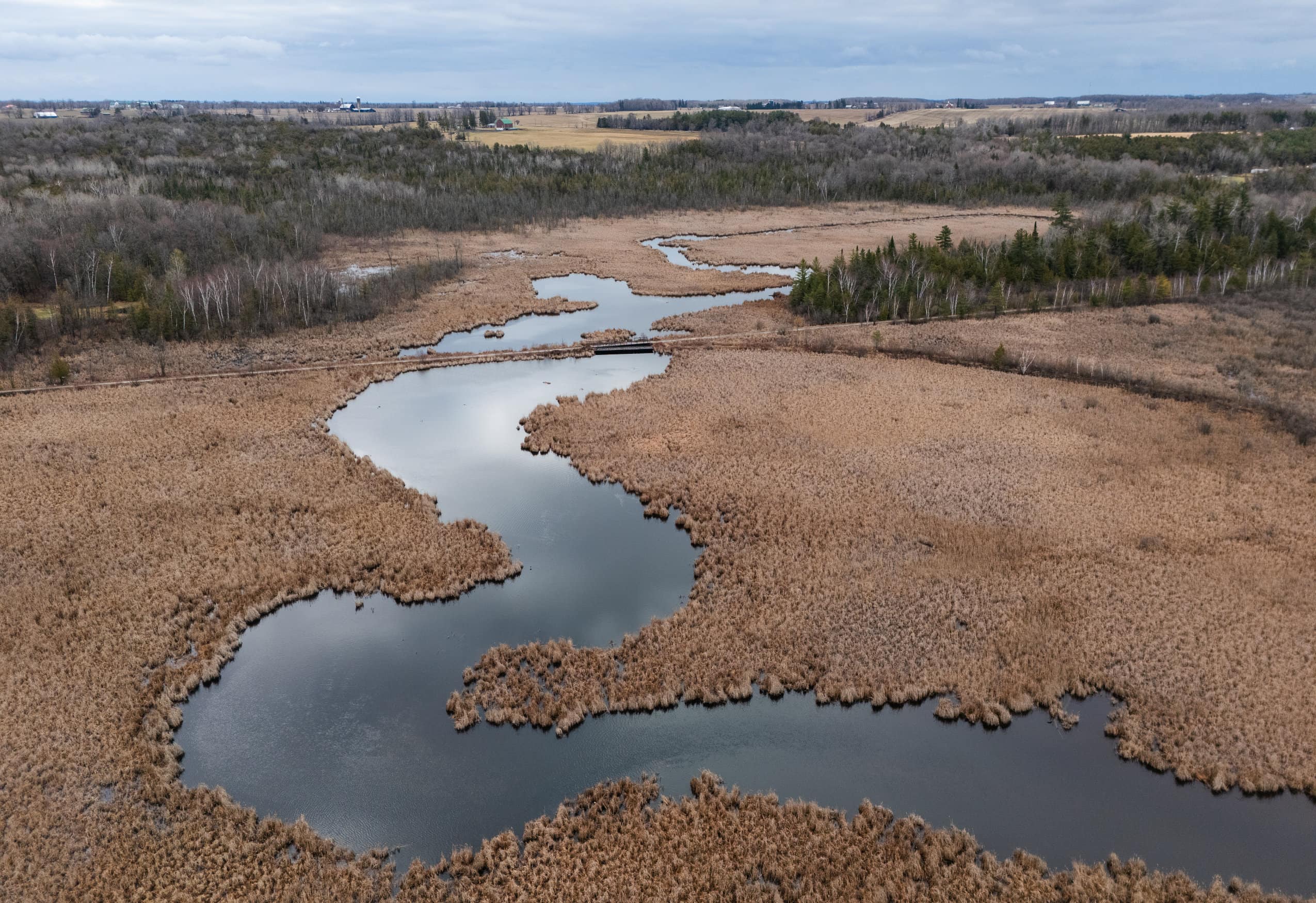 An aerial view of a wetland under cloudy skies.