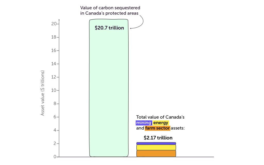 Chart comparing the value of carbon sequestered in Canada's protected areas ($20.7 trillion) to the combined value of Canada's mining, energy and farm sector assets ($2.17 trillion)