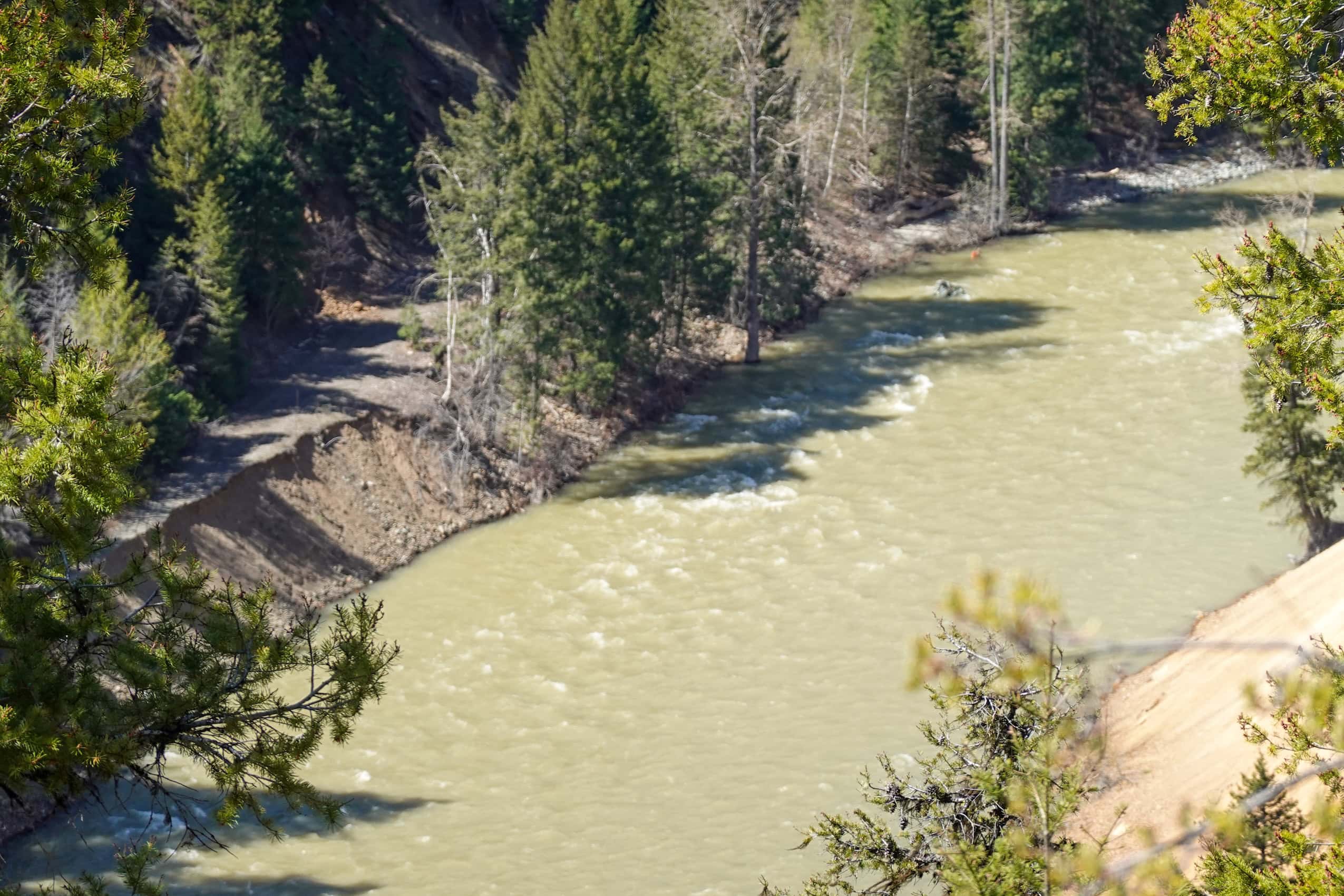 A washed-out, muddy brown river with trees along its banks.