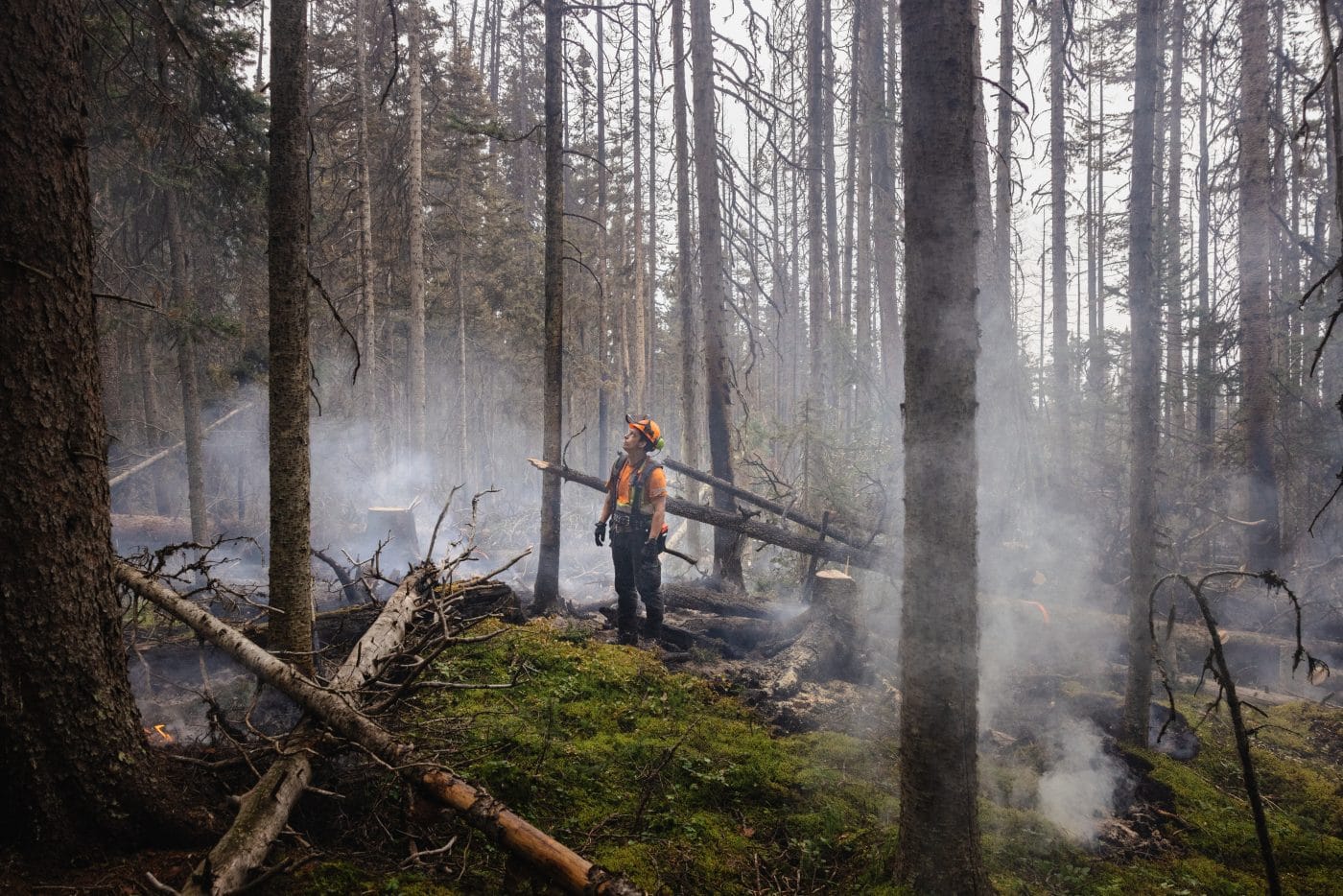 A BC wildland firefighter stands in a smoking forest