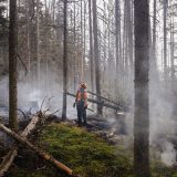A BC wildland firefighter stands in a smoking forest