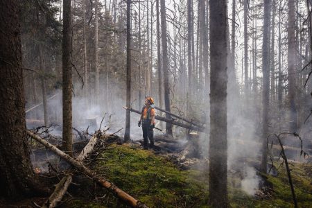 A BC wildland firefighter stands in a smoking forest