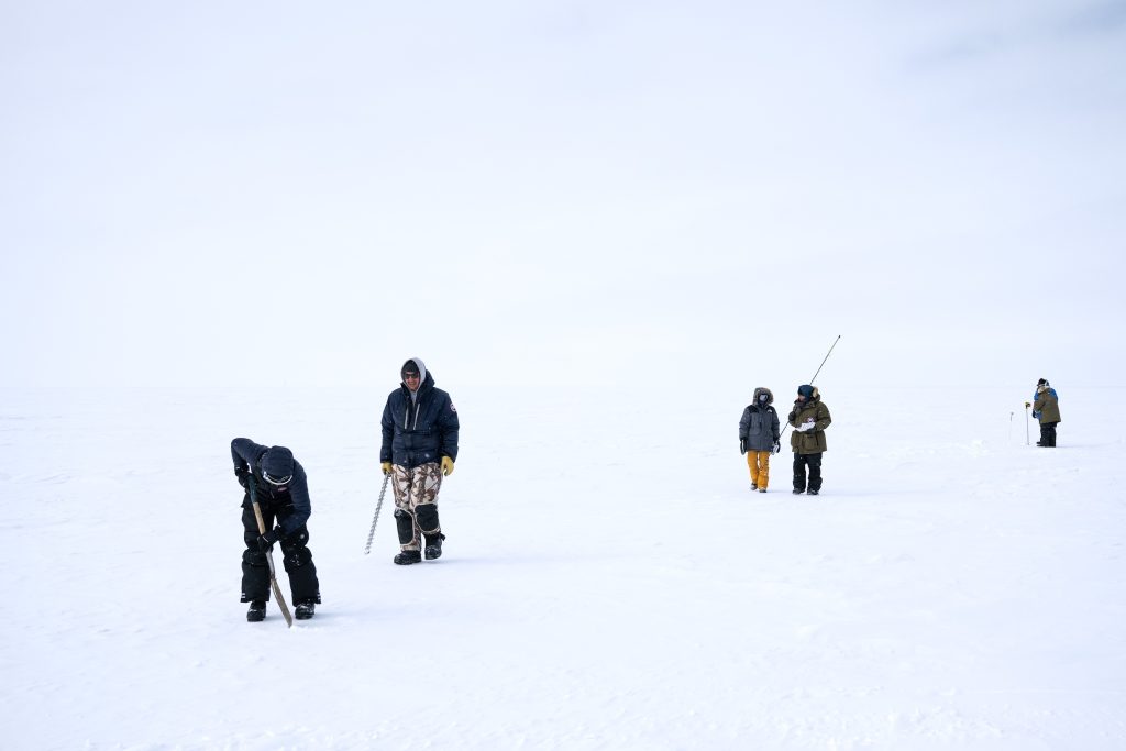 The Narwhal wins four medals at national media awards — including a gold for climate change coverage