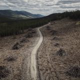 A slim road running through a logging block with low mountains in the background.