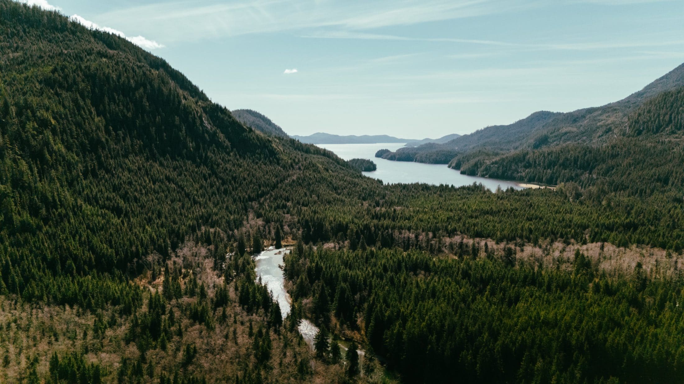 An aerial view of where Tranquil Creek enters an inlet in Clayoquot Sound. Forested hills rise up on either side of the creek and inlet.
