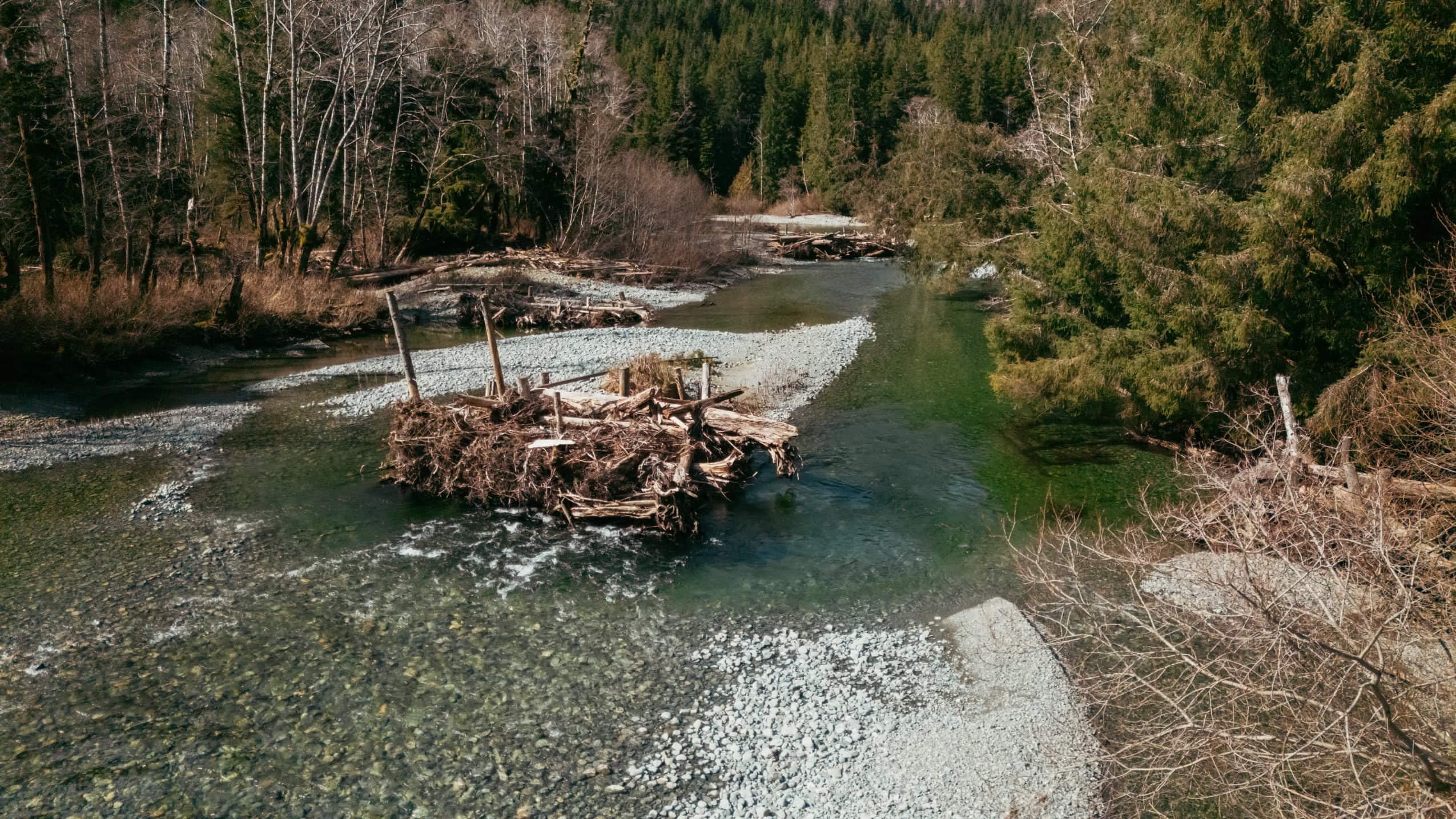 A large pile of logs and sticks in the middle of a river with forested banks.
