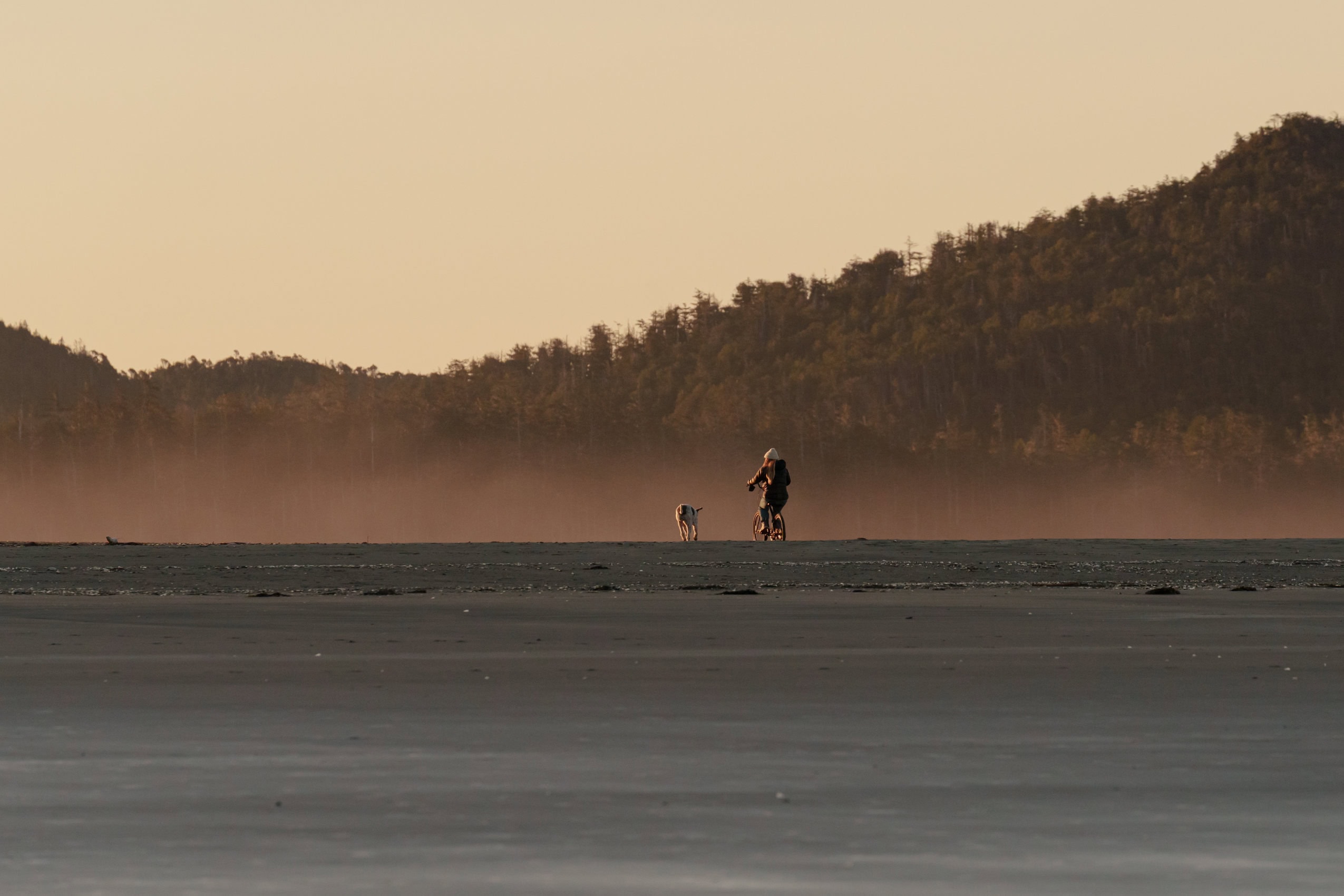 A person bikes with their dog running by their side on a beach, mountain in the background.