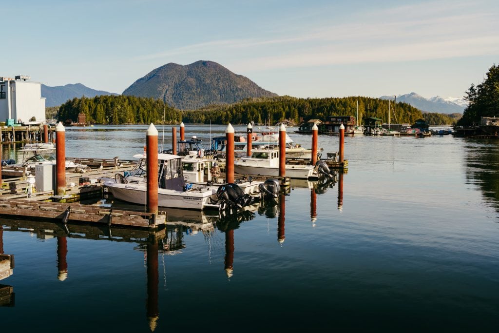 Motor boats docked at a marina with forested hills in the background.